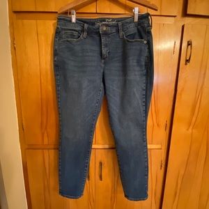 Universal Thread Curvy Skinny Crop Jeans, Petite
